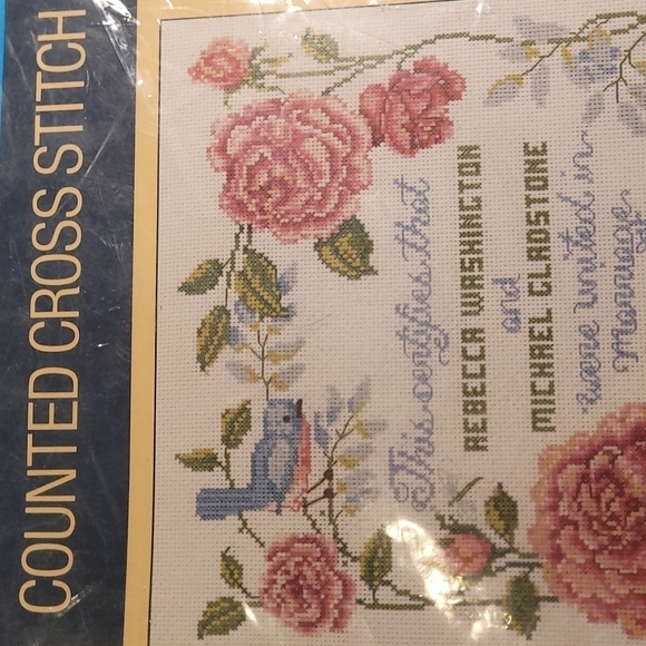 Counted Cross Stitch Kit - Picture 2 of 5